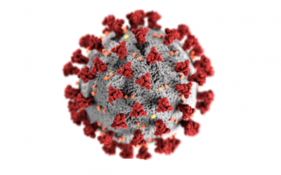 Il trauma psichico al tempo del Coronavirus